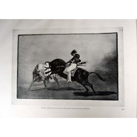 Goya - Tauromaquia