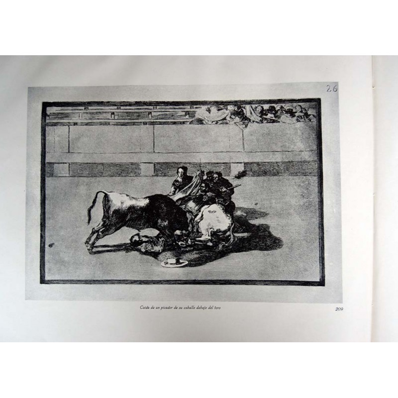 copy of Goya - Disparates