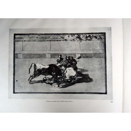 copy of Goya - Disparates