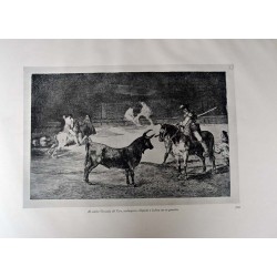 Goya - Tauromaquia