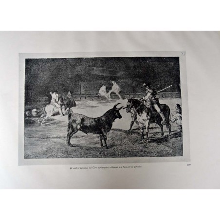 copy of Goya - Disparates