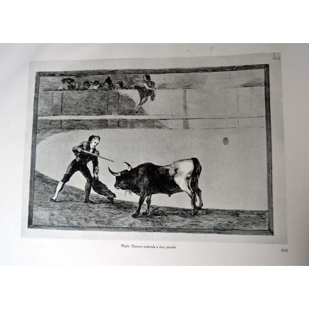 Goya - Tauromaquia