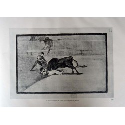 copy of Goya - Disparates
