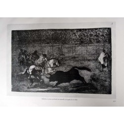 copy of Goya - Disparates