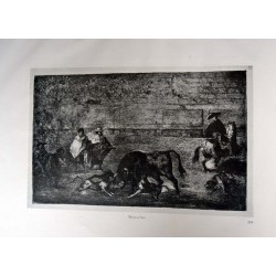 copy of Goya - Disparates