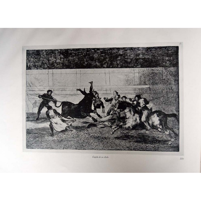 Goya - Tauromaquia