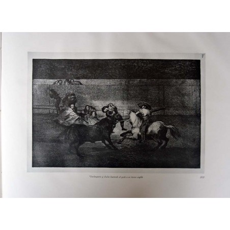 copy of Goya - Disparates