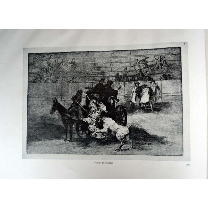 copy of Goya - Disparates