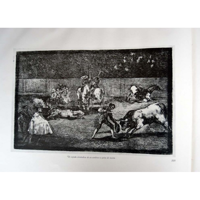 copy of Goya - Disparates