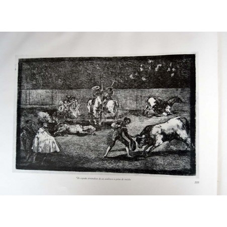 copy of Goya - Disparates