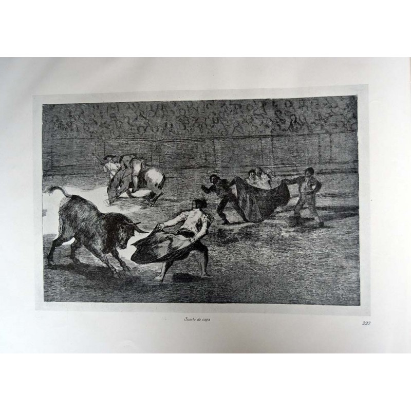 copy of Goya - Disparates