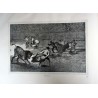 Goya - Tauromaquia