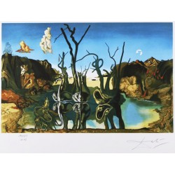 SALVADOR DALI - Cisnes que se reflejan en elefantes