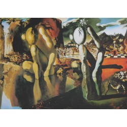 copy of SALVADOR DALI - SNCF Normandia