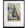 copy of SALVADOR DALI - SNCF Normandia