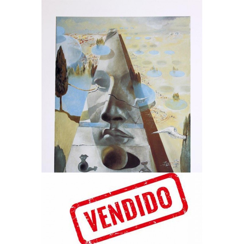 copy of SALVADOR DALI - SNCF Normandia