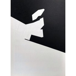 PABLO PALAZUELO -...