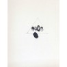 ANTONI TAPIES - Originallithographie DLM