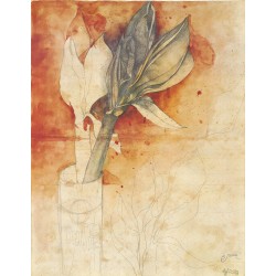 BRUNO BRUNI - Fiore