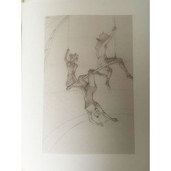 copy of MIQUEL BARCELÓ -...