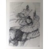 copy of MIQUEL BARCELÓ - Divina comedia