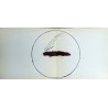 ANTONI TAPIES - Original Litogaph