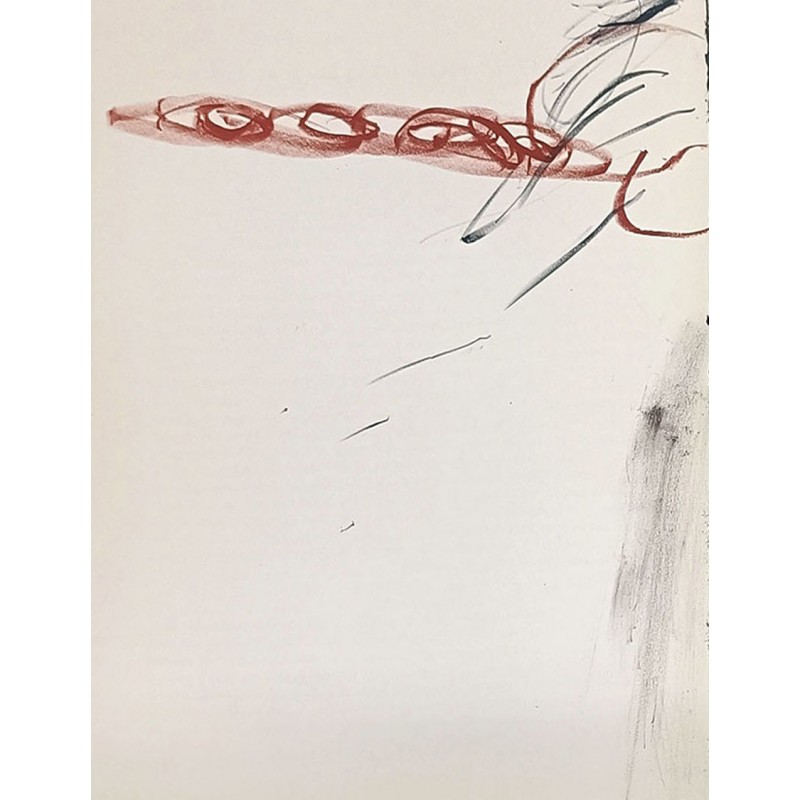 ANTONI TAPIES - Litografia originale DLM 1967
