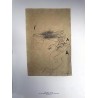 Antoni Tàpies: TÀPIES Sèrie Negre - Litografia VIII