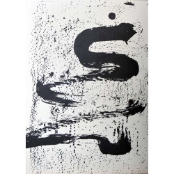 ANTONI TAPIES - La sostanza...