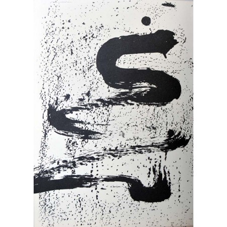 ANTONI TAPIES - La substancia y los accidentes