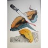 SALVADOR DALI - Cut cucumber