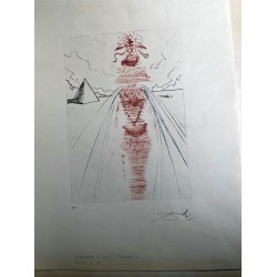 SALVADOR DALI -...