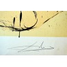 SALVADOR DALI - The creator
