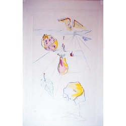 SALVADOR DALI - Los frutos de valle