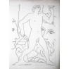 PABLO PICASSO - SUITE VOLLARD