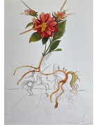 Floridali